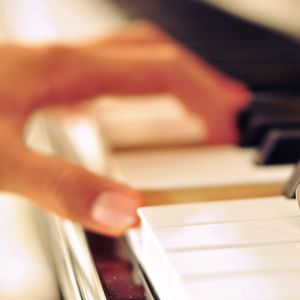 免费黄色网址查找
