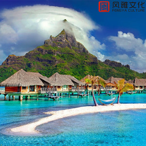 免费黄色网址查找
